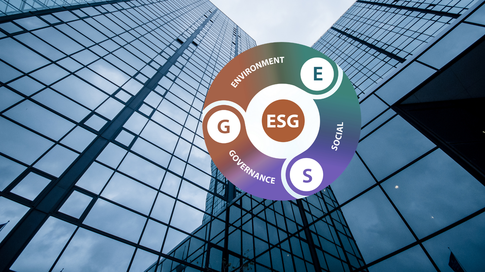 IndustriAll Europe calls for mandatory EU rules on due diligence and sustainable corporate governance